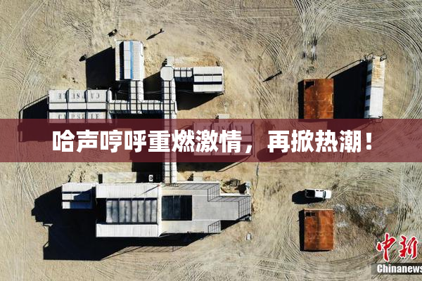 哈声哼呼重燃激情，再掀热潮！