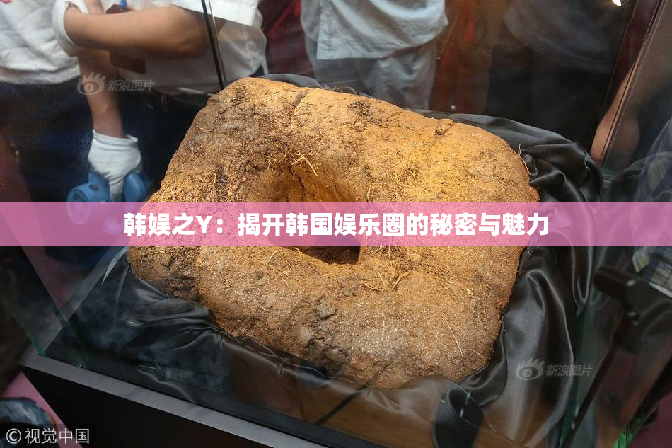 韩娱之Y：揭开韩国娱乐圈的秘密与魅力