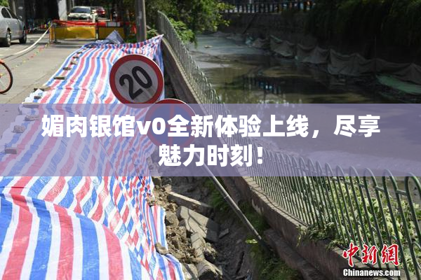 媚肉银馆v0全新体验上线，尽享魅力时刻！