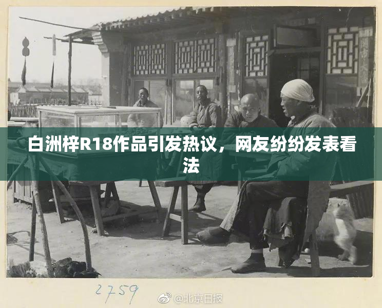 白洲梓R18作品引发热议，网友纷纷发表看法