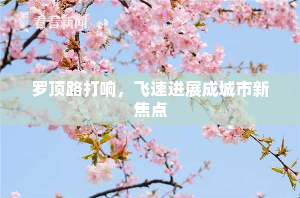 罗顶路打响，飞速进展成城市新焦点