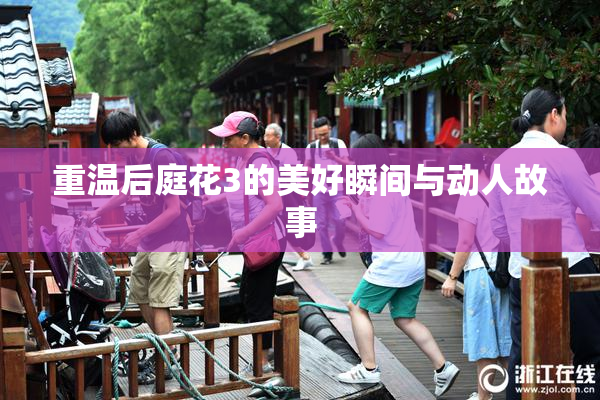 重温后庭花3的美好瞬间与动人故事
