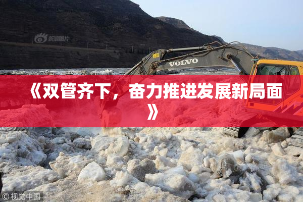 《双管齐下，奋力推进发展新局面》