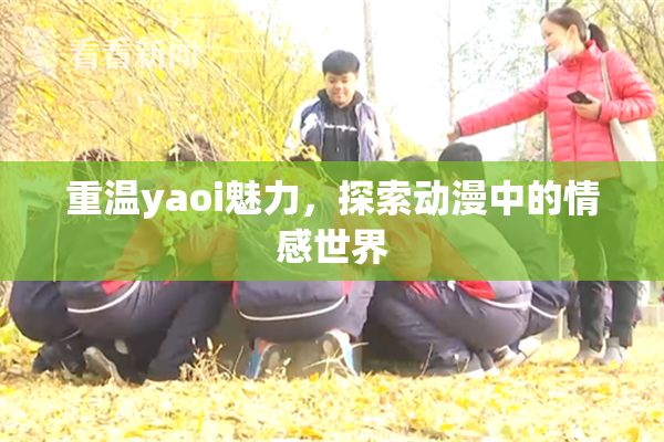 重温yaoi魅力，探索动漫中的情感世界
