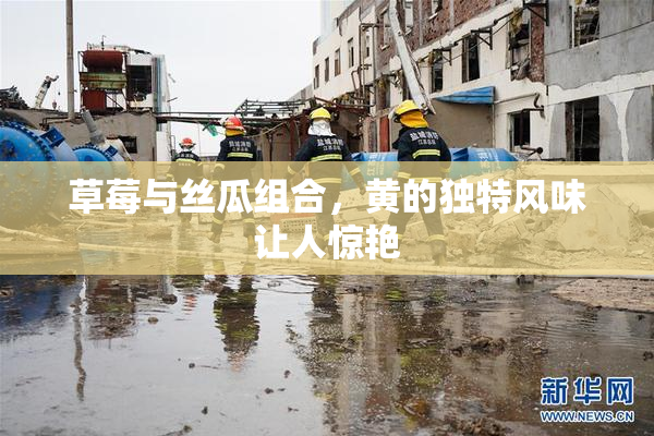 草莓与丝瓜组合，黄的独特风味让人惊艳