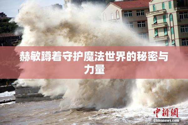 赫敏蹲着守护魔法世界的秘密与力量