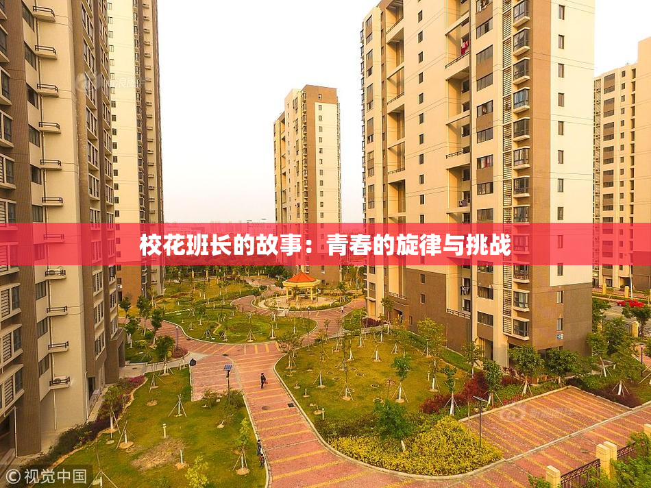 校花班长的故事：青春的旋律与挑战