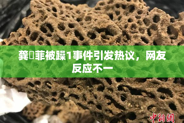 龚玥菲被躁1事件引发热议，网友反应不一