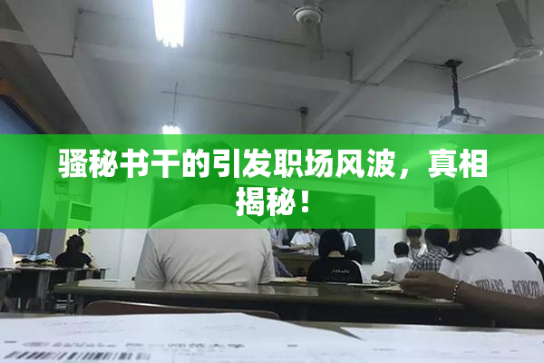 骚秘书干的引发职场风波，真相揭秘！