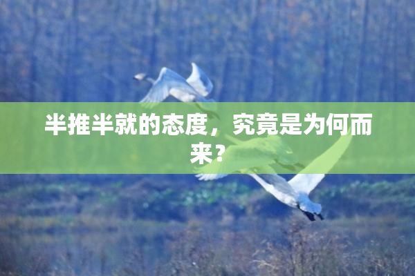 半推半就的态度，究竟是为何而来？