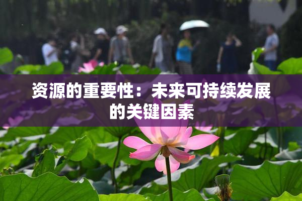 资源的重要性：未来可持续发展的关键因素