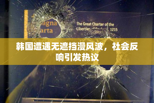 韩国遭遇无遮挡漫风波，社会反响引发热议