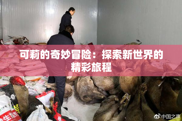 可莉的奇妙冒险：探索新世界的精彩旅程