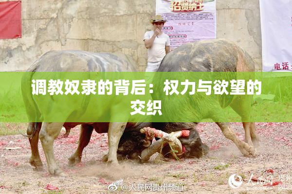 调教奴隶的背后：权力与欲望的交织