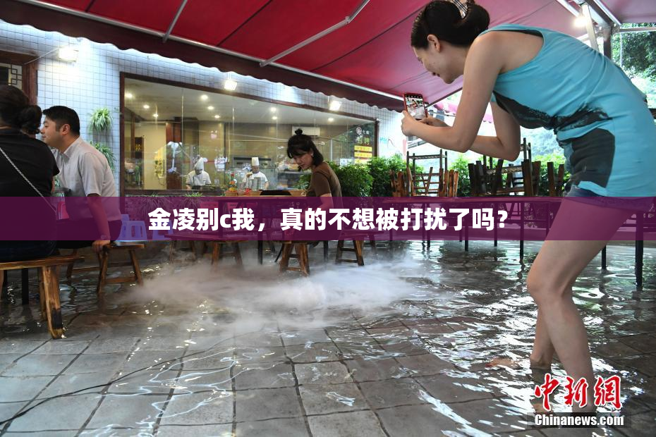 金凌别c我，真的不想被打扰了吗？