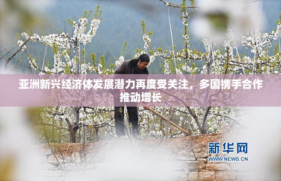 亚洲新兴经济体发展潜力再度受关注，多国携手合作推动增长