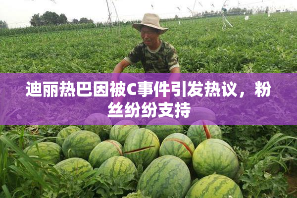 迪丽热巴因被C事件引发热议，粉丝纷纷支持
