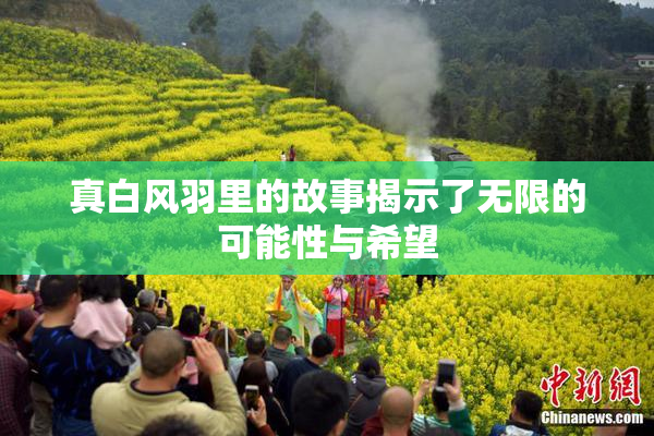 真白风羽里的故事揭示了无限的可能性与希望