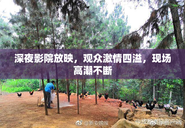 深夜影院放映，观众激情四溢，现场高潮不断
