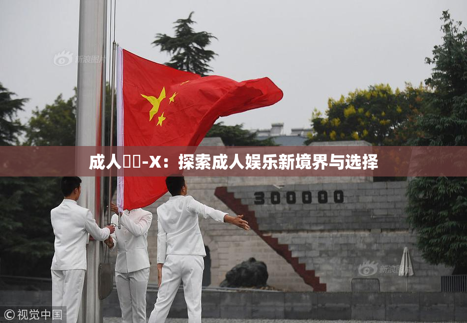 成人視頻-X：探索成人娱乐新境界与选择
