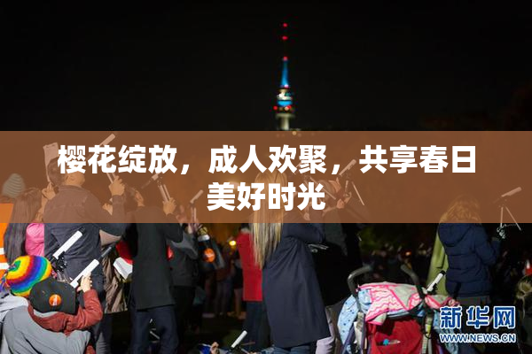 樱花绽放，成人欢聚，共享春日美好时光