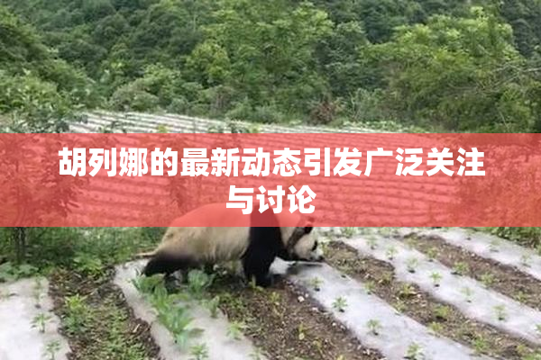 胡列娜的最新动态引发广泛关注与讨论
