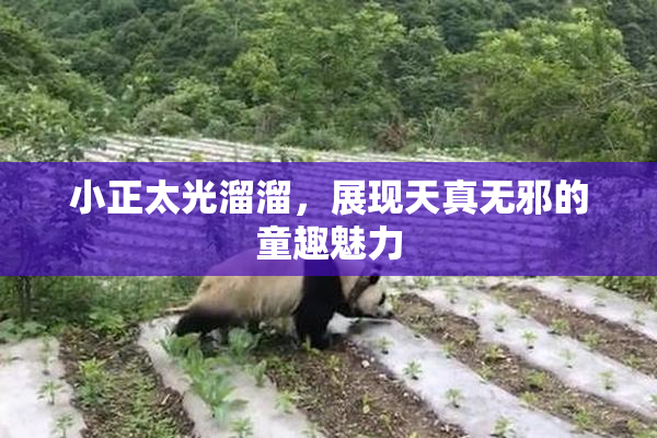 小正太光溜溜，展现天真无邪的童趣魅力