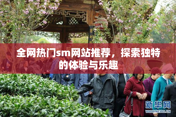 全网热门sm网站推荐，探索独特的体验与乐趣