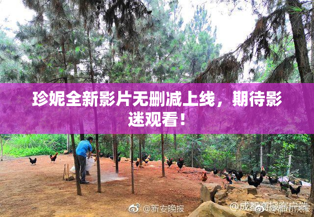 珍妮全新影片无删减上线，期待影迷观看！