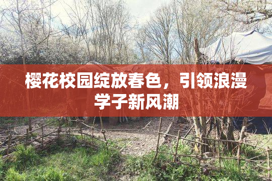 樱花校园绽放春色，引领浪漫学子新风潮