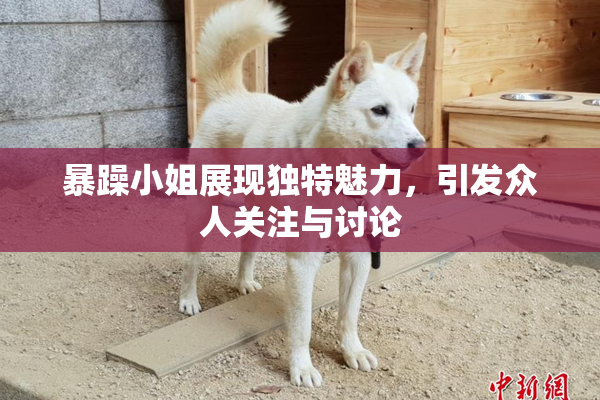 暴躁小姐展现独特魅力，引发众人关注与讨论