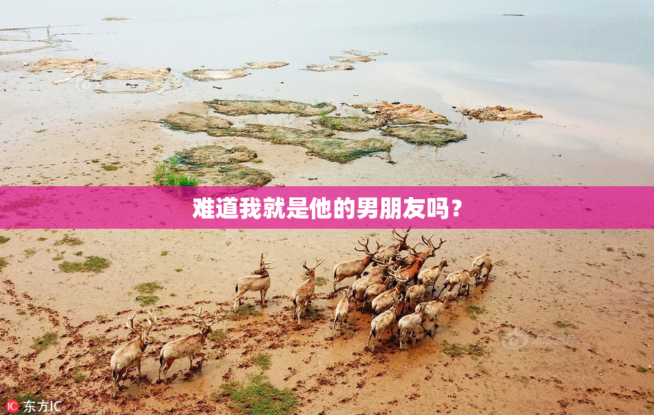 难道我就是他的男朋友吗？