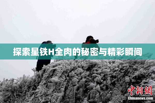 探索星铁H全肉的秘密与精彩瞬间