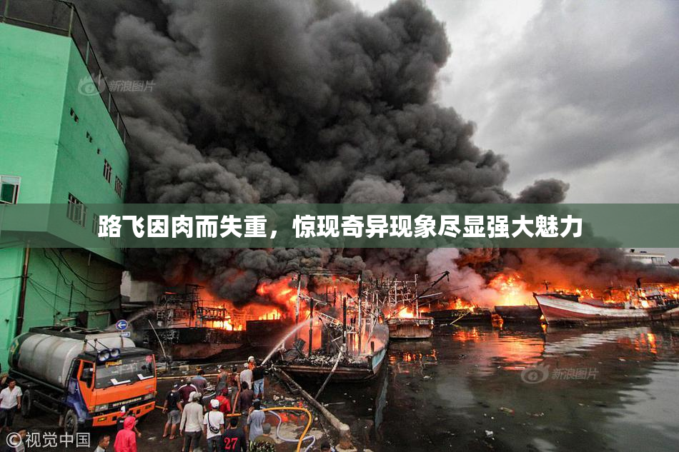 路飞因肉而失重，惊现奇异现象尽显强大魅力