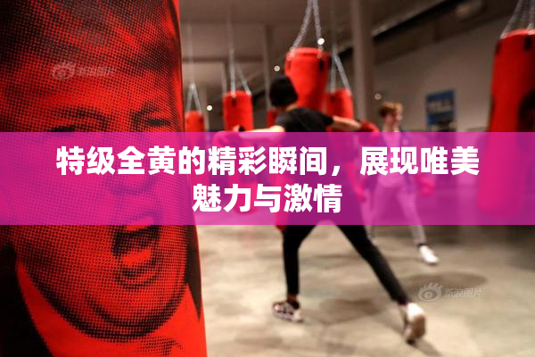 特级全黄的精彩瞬间，展现唯美魅力与激情