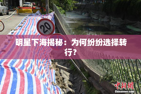 明星下海揭秘：为何纷纷选择转行？