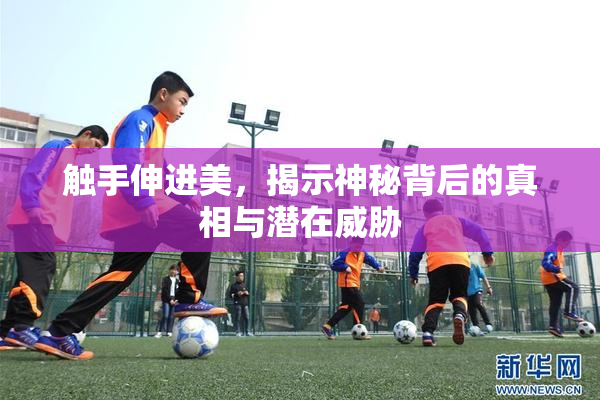 触手伸进美，揭示神秘背后的真相与潜在威胁