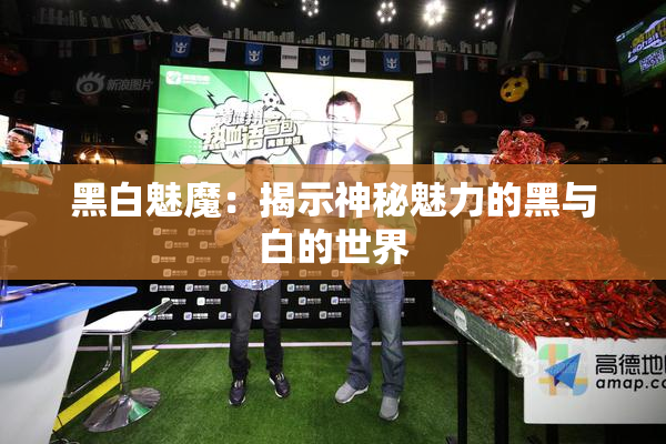 黑白魅魔：揭示神秘魅力的黑与白的世界