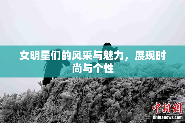 女明星们的风采与魅力，展现时尚与个性