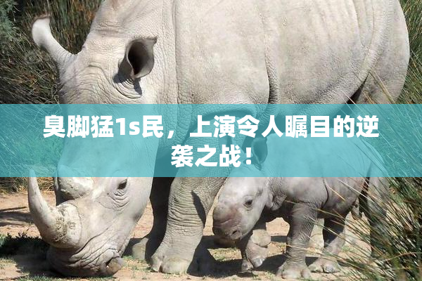 臭脚猛1s民，上演令人瞩目的逆袭之战！
