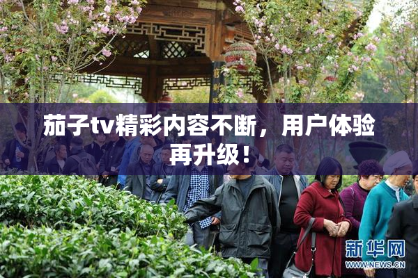 茄子tv精彩内容不断，用户体验再升级！