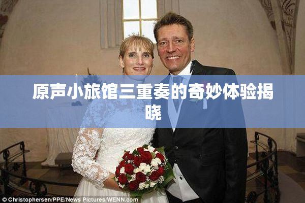原声小旅馆三重奏的奇妙体验揭晓