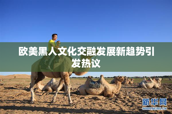 欧美黑人文化交融发展新趋势引发热议