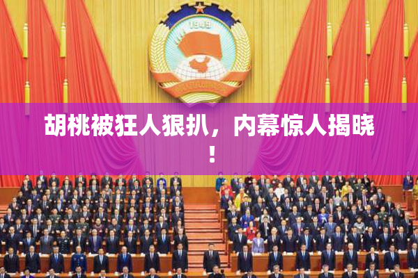 胡桃被狂人狠扒，内幕惊人揭晓！