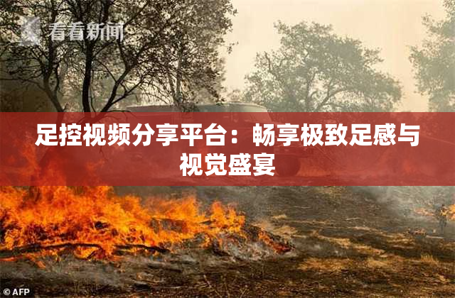 足控视频分享平台：畅享极致足感与视觉盛宴