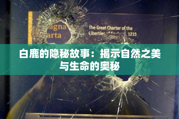 白鹿的隐秘故事：揭示自然之美与生命的奥秘