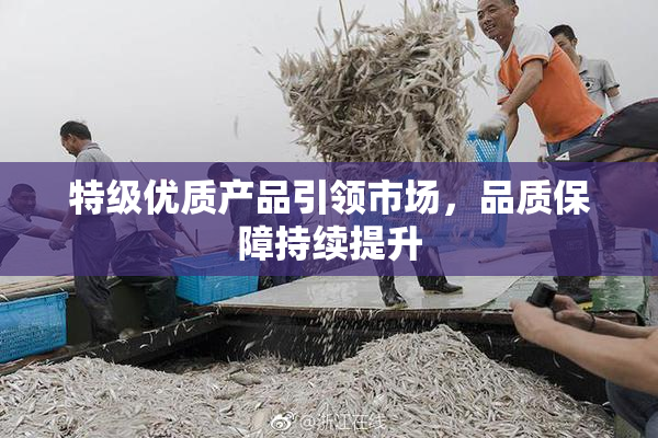 特级优质产品引领市场，品质保障持续提升