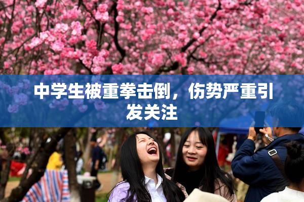 中学生被重拳击倒，伤势严重引发关注