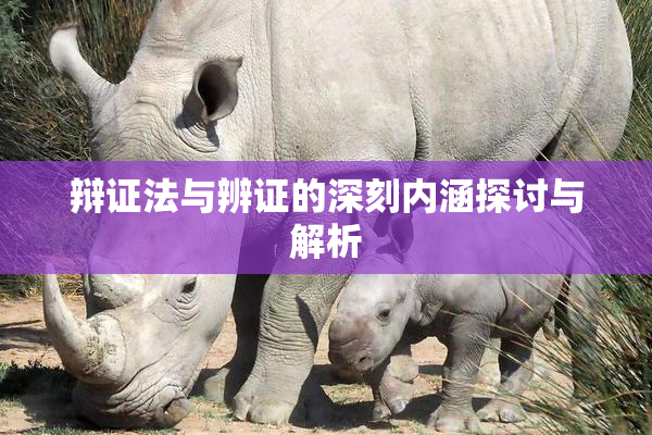 辩证法与辨证的深刻内涵探讨与解析