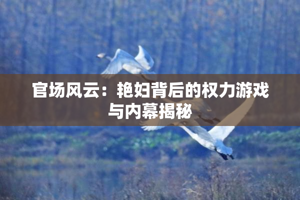 官场风云：艳妇背后的权力游戏与内幕揭秘
